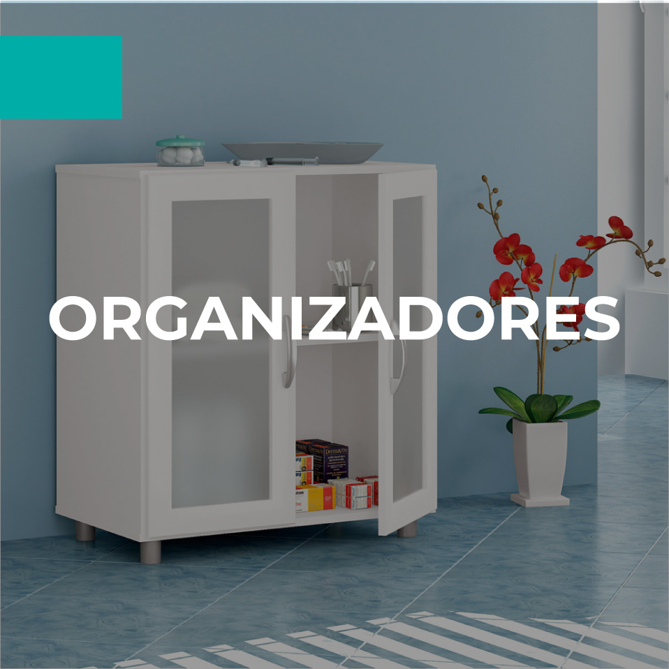 Organizadores